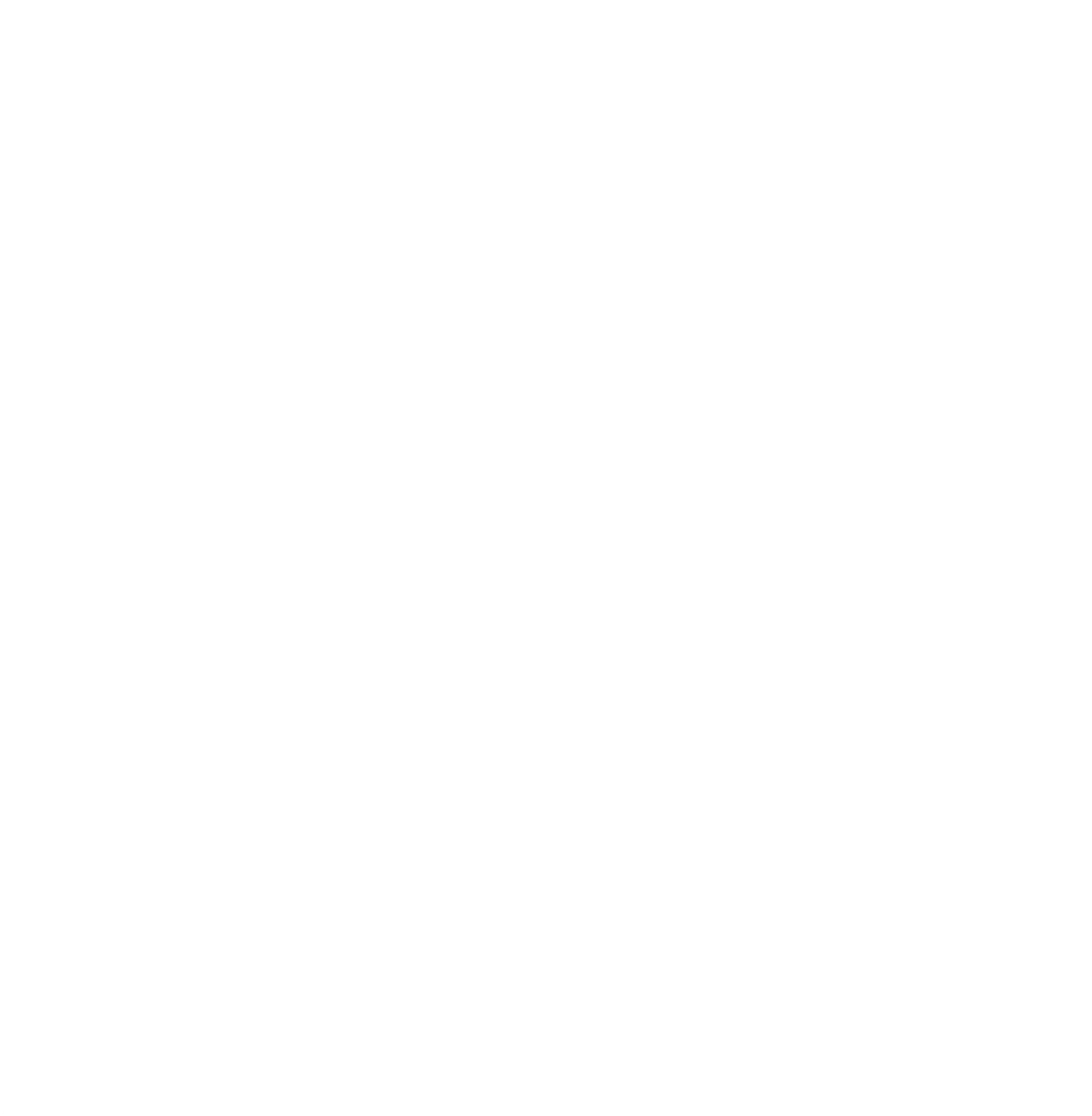 tw icon